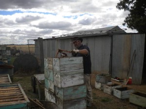 beekeeping-cleanup-003