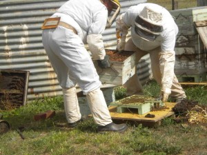 hive-repair-001