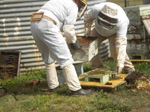hive-repair-001
