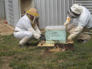 hive-repair-002