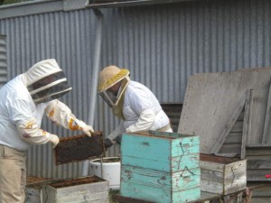 hive-repair-004