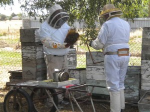hive-repair-005