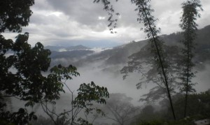 view from the chapel