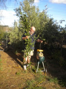 Testing the Mulcher