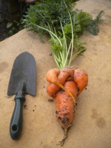 frankencarrot