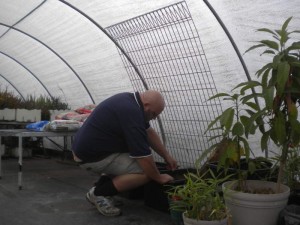 greenhouse-tubs-08