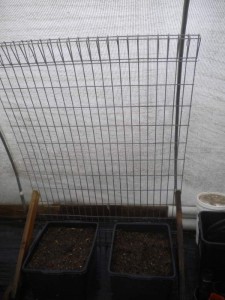 greenhouse-tubs-10