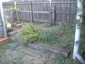 gardenbed-upgrade-01