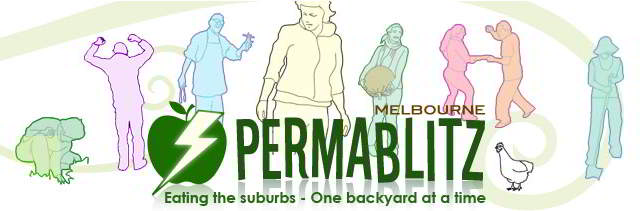 permablitz-icon